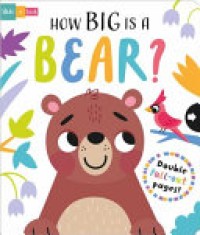 Image of How Big Is A Bear?